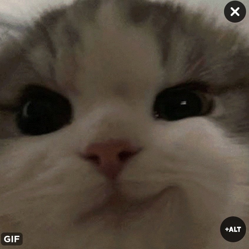 MKyara4's tweet photo. @koogifs Why does kookie look like this smirking kitten 🥴 https://t.co/lBEn2KUdA4
