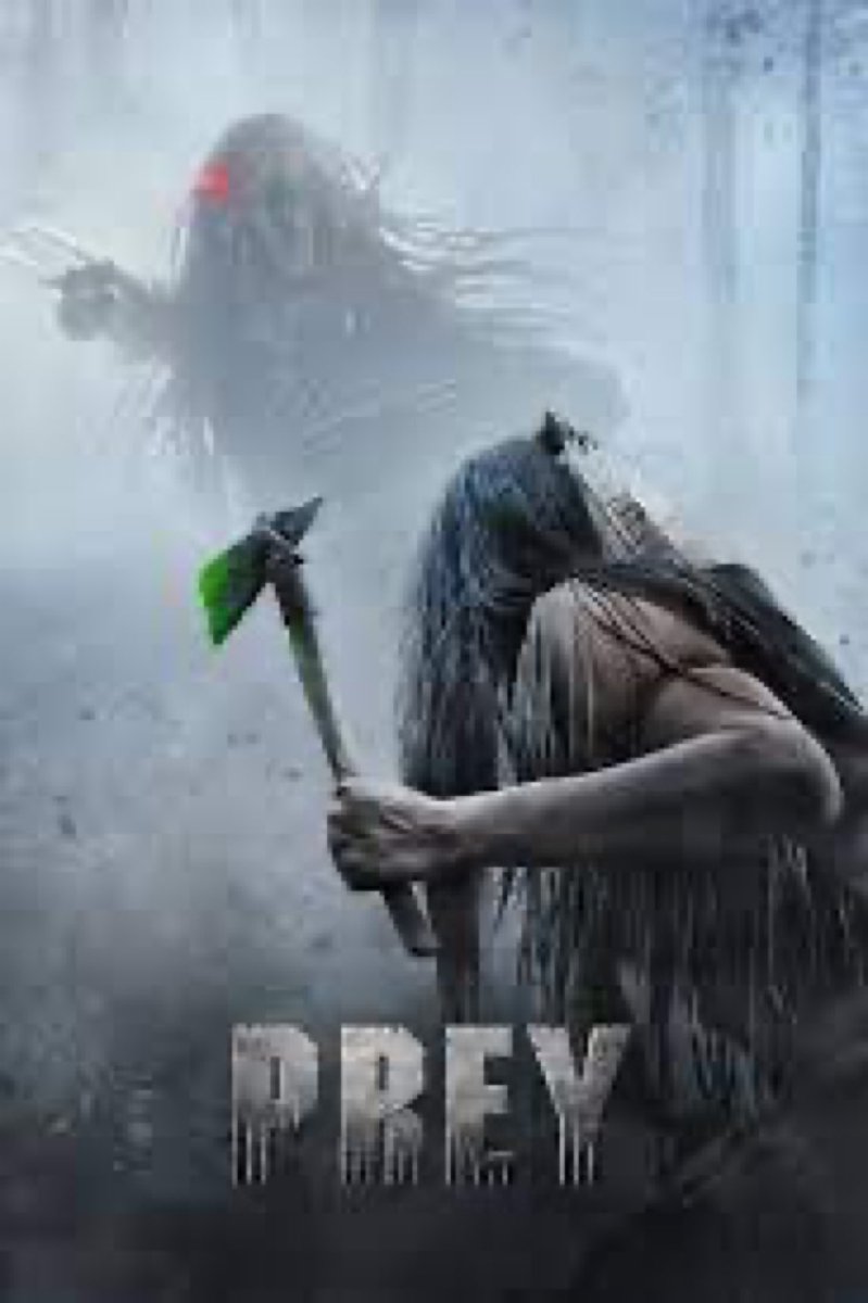SaveRedlandLibr's tweet photo. 9pm TODAY on @Film4    

The 2022 #SciFi #Horror #Thriller film🎥 “Prey” directed by #DanTrachtenberg from a screenplay by #PatrickAison and story by Patrick Aison + Dan Trachtenberg

Part of the #Predator film🎥 franchise

🌟#AmberMidthunder #DakotaBeavers #DaneDiLiegro https://t.co/WNpSX6QlI0
