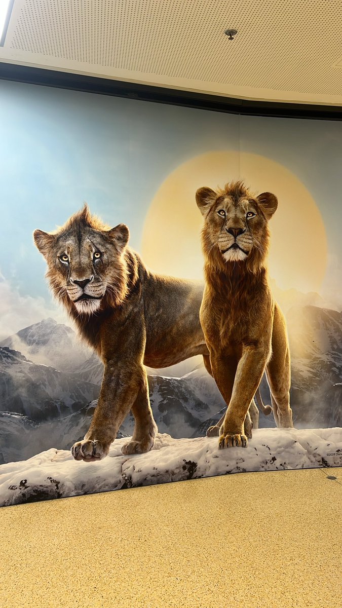 Mufasa - so ein schöner Film! 🥰
Interessant die Vorgeschichte von "König der Löwen" zu sehen. 😃