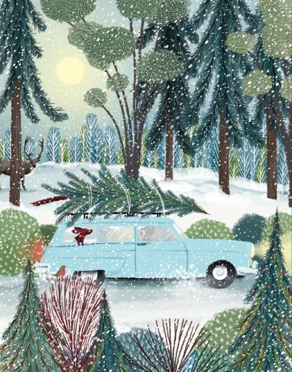 Jane Newland