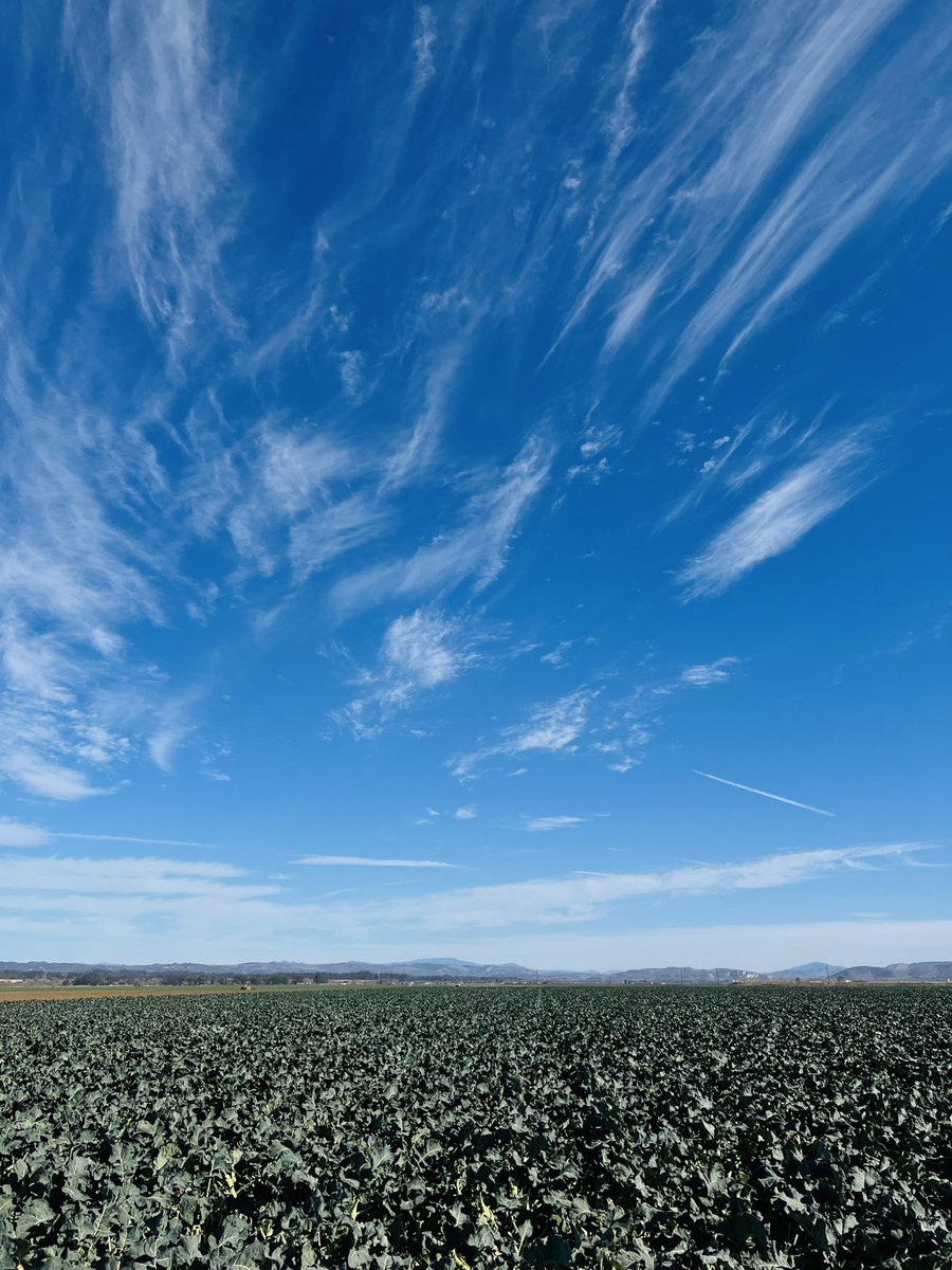 ついに！アメリカの僻地に来ました　笑