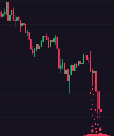 Reed Own-Lee tweet media