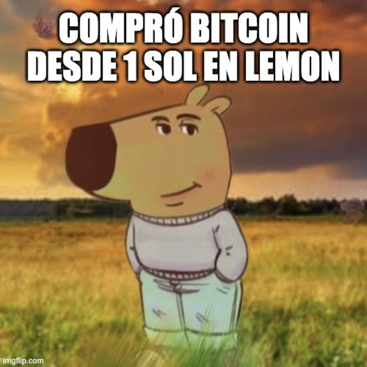 lemonapp_pe's tweet photo. Chill comprando Bitcoin desde 1 sol en Lemon 🍋

Descarga la app en tu celular 📲 https://t.co/pOAqlZDS6v