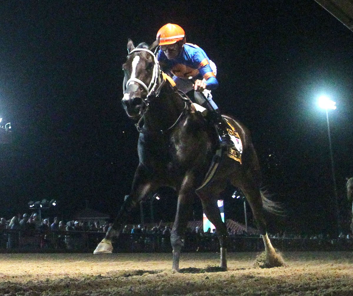 Inside This Issue of Wire to Wire
• #FloridaBreds Mystic Lake, R Harper Rose Return in <a href="/GulfstreamPark/">Gulfstream Park</a> $140,000 Sugar Swirl <a href="/SaffieJosephJr/">Saffie Joseph Jr.</a> <a href="/iradortiz/">Iradortiz</a> <a href="/zayas_edgardo/">Edgardo Zayas</a> <a href="/AverillRacing14/">Averill Racing</a> <a href="/Twoeightracing/">JW</a>
• Reef Runner, Yes I Am Free Target Xy Speed Again in Janus <a href="/fawkesracinginc/">Fawkes Racing Inc</a>