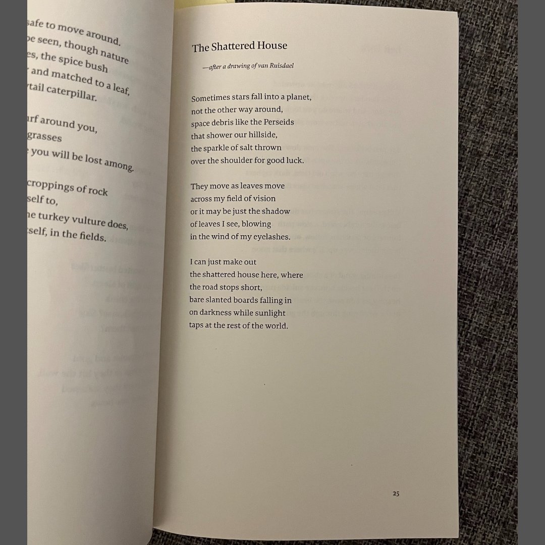 grid_books's tweet photo. "The Shattered House" by Elaine Terranova, from her 2018 collection of poems, 𝑃𝑒𝑟𝑑𝑖𝑑𝑜.

Terranova won the 2013 Off the Grid Prize for her book 𝐷𝑜𝑙𝑙ℎ𝑜𝑢𝑠𝑒.

https://t.co/lvFduS0veZ https://t.co/rz2OQIYbZp