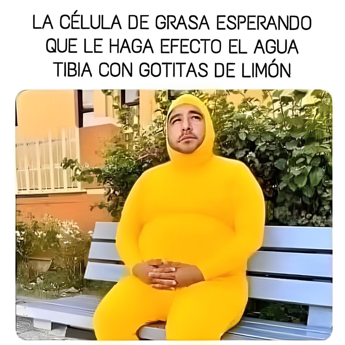 ComediaChida tweet picture