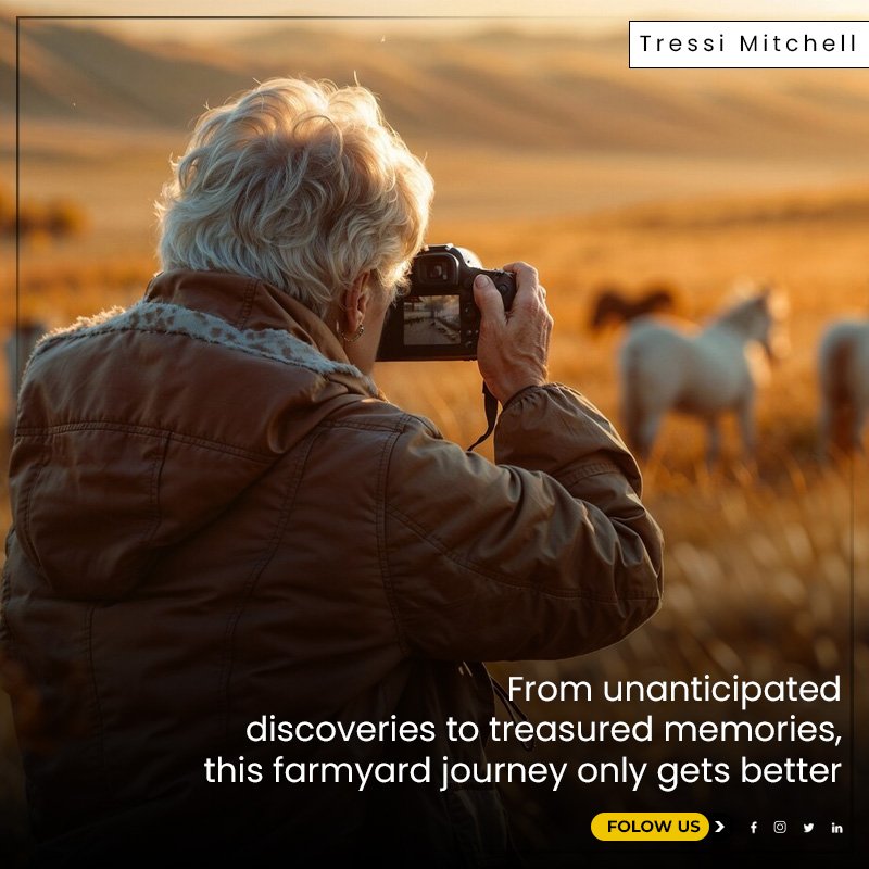 The adventure continues with a comfortable campout and a mystery in the farmyard!  Family fun never ends, from organizing tomorrow's obstacle course to having lost-and-found moments.

Shop Now: a.co/d/ctfYFQc

#FarmyardAdventure #TreasureHuntFun
#PiratePlaytime