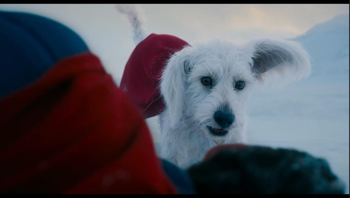 peterjordan's tweet photo. Finalmente um Krypto em Live-Actiona cara!! Me empolguei demais com isso aqui! E parece que os dois já devem ter passado por momentos parecidos, onde o Krypto precisou carregar o Superman, pq o Clark só levanta a capa e o super-cão já entende o que precisa ser feito. https://t.co/MwQRen6uR8
