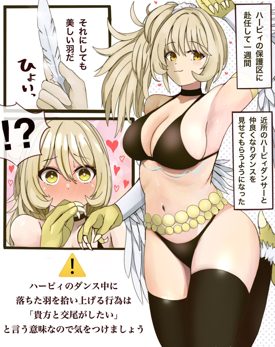 ハーピィダンサーで一個思いついた話があるので描きます。
これは前描いたやつ 