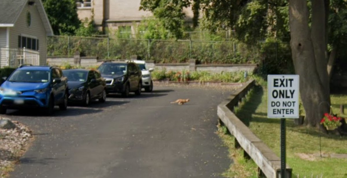 neilmburke🚸 tweet media