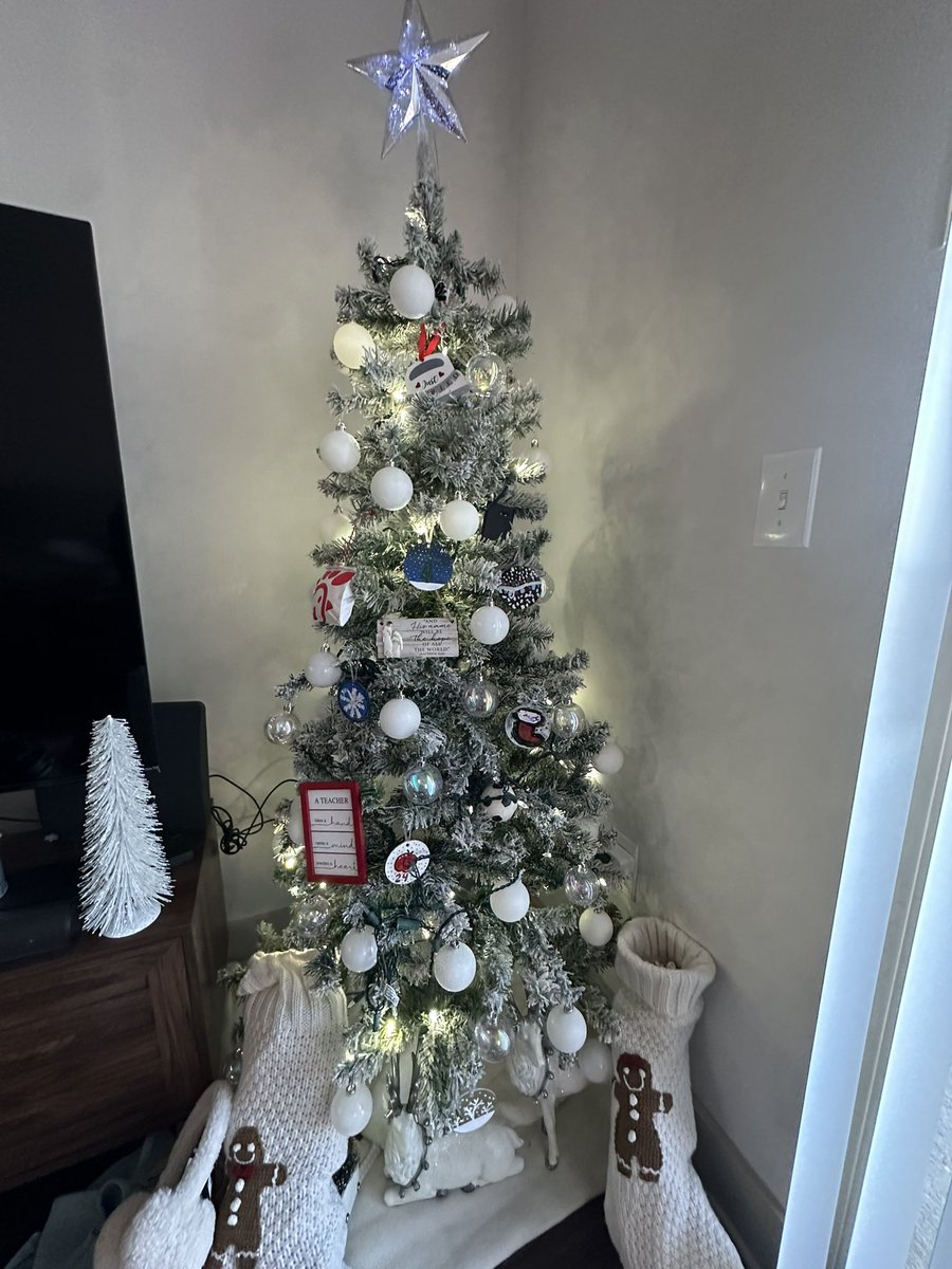 I started a new tradition for my few school-aged students! Their precious art decorated my Christmas tree this year, and it brought so much joy to my home. 🤟🏽🎄🤍