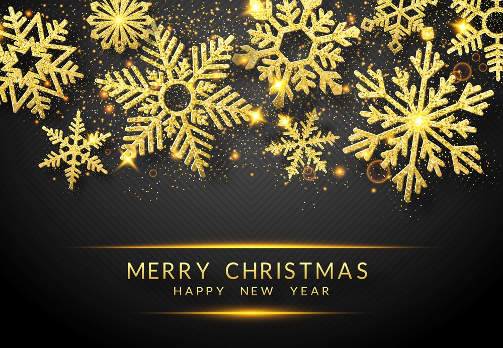 LawnscapeMPLS's tweet photo. Happy Holidays and warm wishes for the New Year! #MerryChristmas #HappyNewYear https://t.co/EcCN77znHR