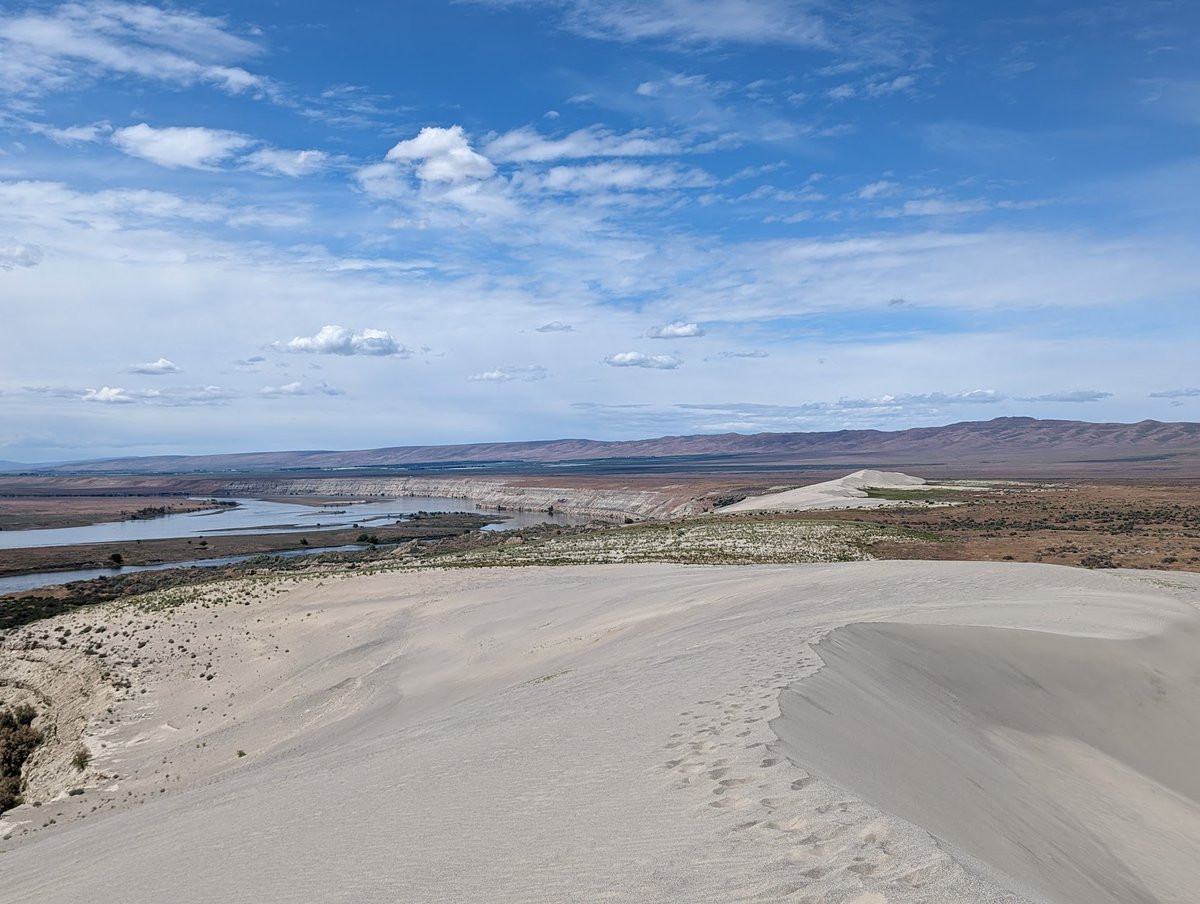 Internetjosh's tweet image. 