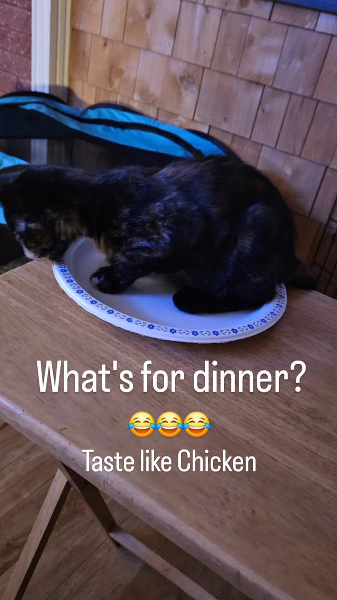 🚛 trucker G 🚛 (@rose5661) on Twitter photo 