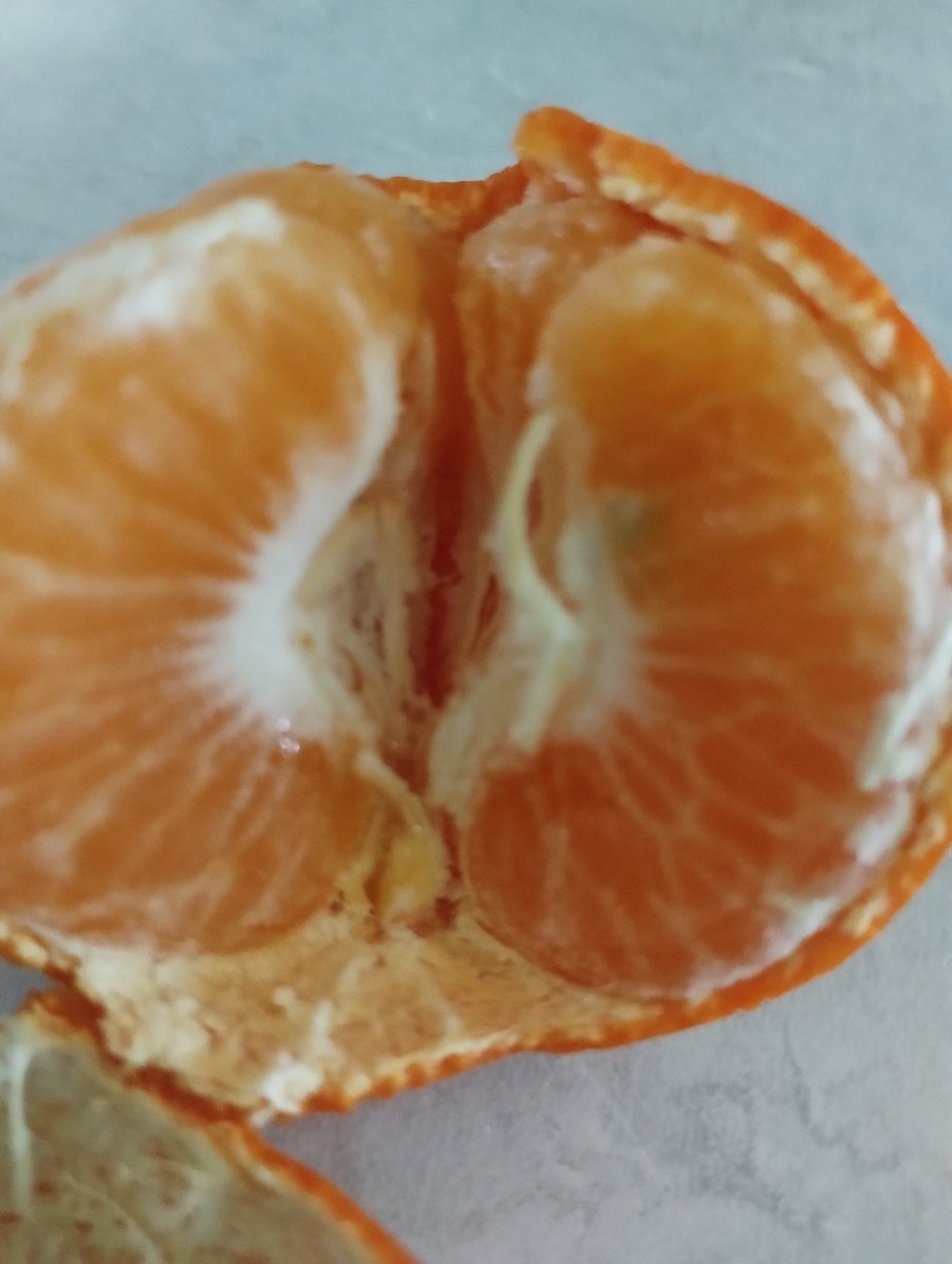 @soylaaltanera... tweet media