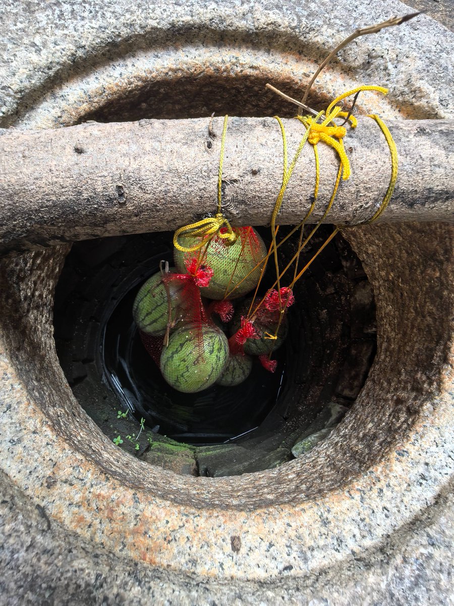 🍉 Wang Guangle, "Zhaishengji Project – Kirin Watermelon," 2024

Site-specific installations by Pace artists are on view at #ArtFieldNanhai—a vibrant, international celebration of art in China's Guangdong province—through February 12, 2025: pacegallery.com/artists/