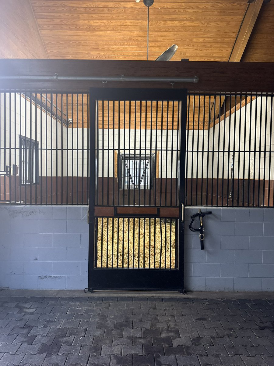 MwAdrian's tweet image. 