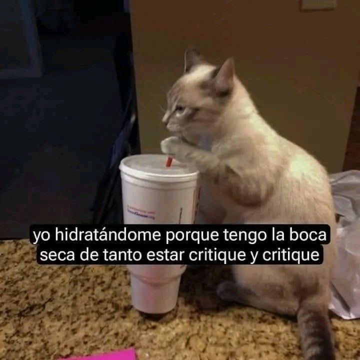 Gatitos Que Curan Tu Depresion tweet media