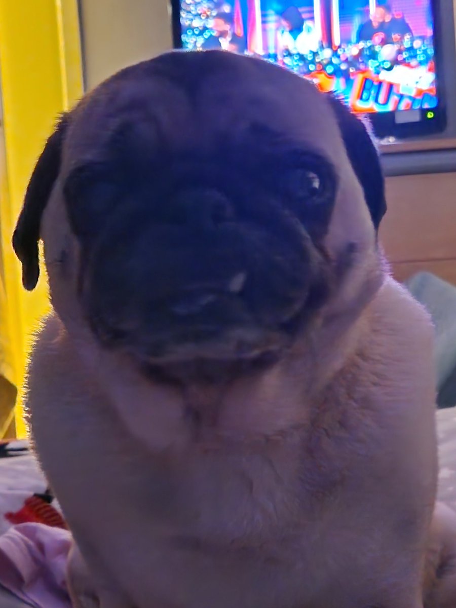 I think he wants something 🤔