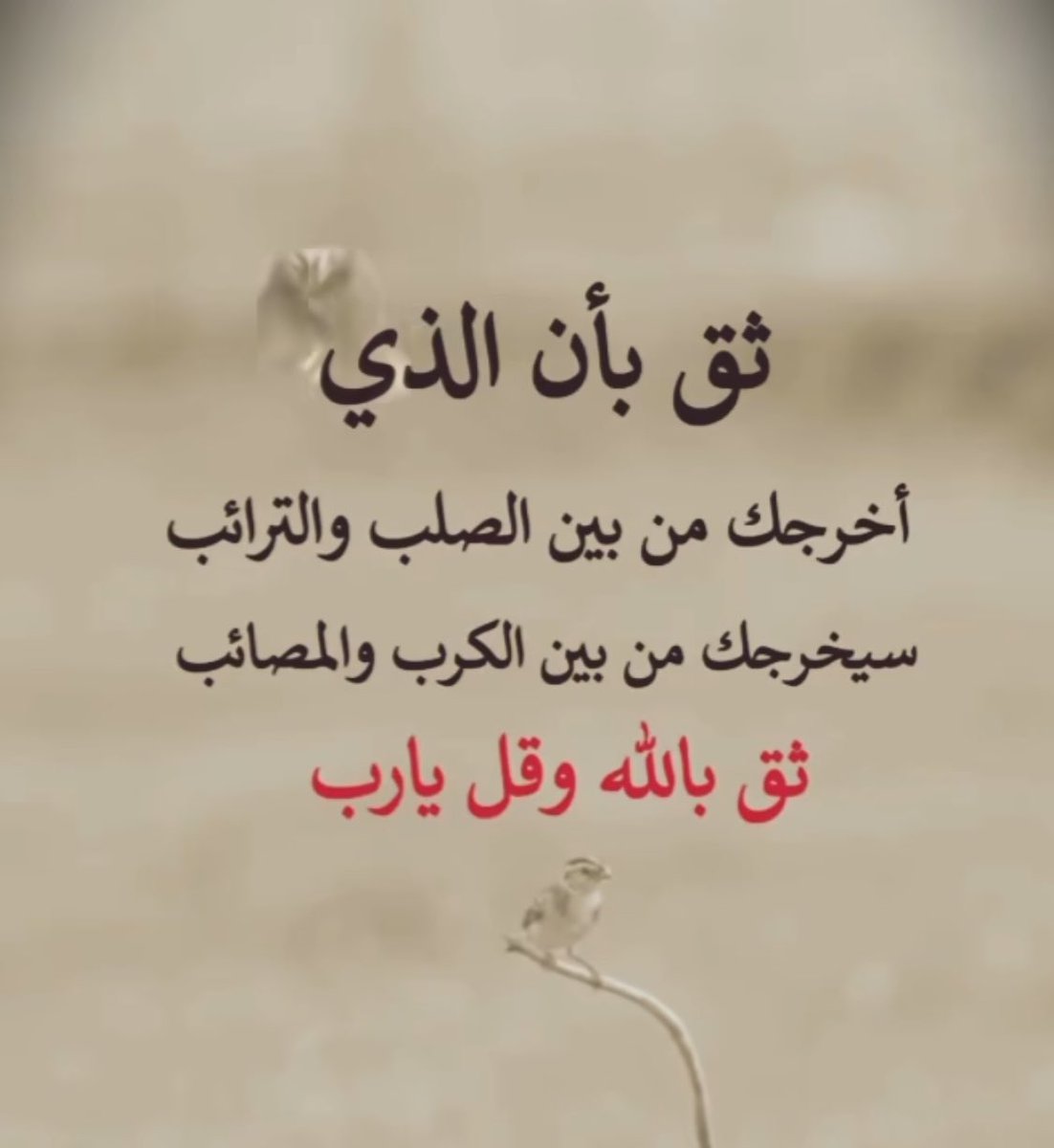 zozotwet's tweet image. 