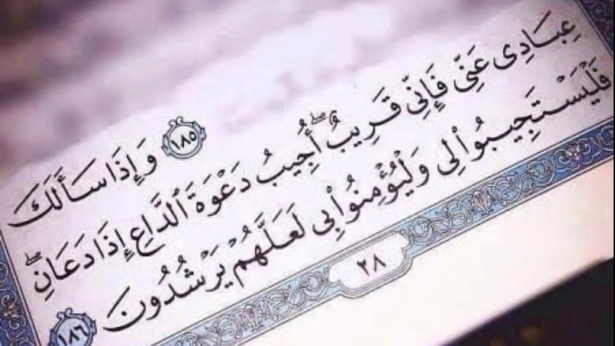 حُمْقاً شَكَوْتُ لِغَيْرِ اللهِ أَوْجَاعِي
فَلَمْ تُلَامِسْ لَدَيْهِمْ غَيْرَ أَسْمَاعِ!

وَحِيْـنَ بُحْـتُ بِهَا للهِ… فِي ثِقَـةٍ
لَمسْتُ رَاحَةَ قَلْبِي بَيْنَ أَضْلَاعِي!

مَنْ قَالَ "إِنِّي قَرِيْبٌ" جَلَّ قَائِلُهَا
هُوَ المُجِيْبُ بِحَقٍّ دَعْوَةَ الدَّاعِي!