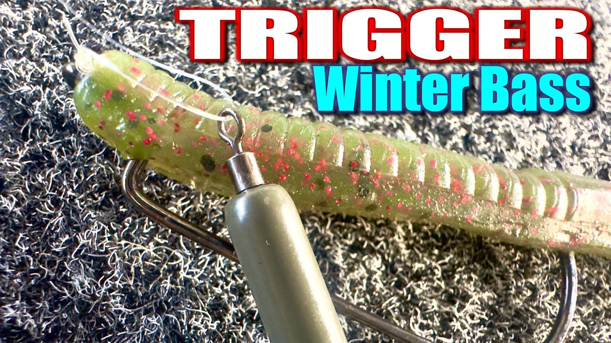 BassGeekFishing's tweet photo. Stubborn Bass? Hold This in their FACE!
https://t.co/Ji5LrCSBgE
#bassfishingbasics #bassfishing #fishing #bassgeek #bassfishingtips #fishingtips #winterfishing #winterbaits #freerig #dropshot #largemouthbass #smallmouthbass #youtubefishing #FishingGear #USA https://t.co/HMCmqHazwb