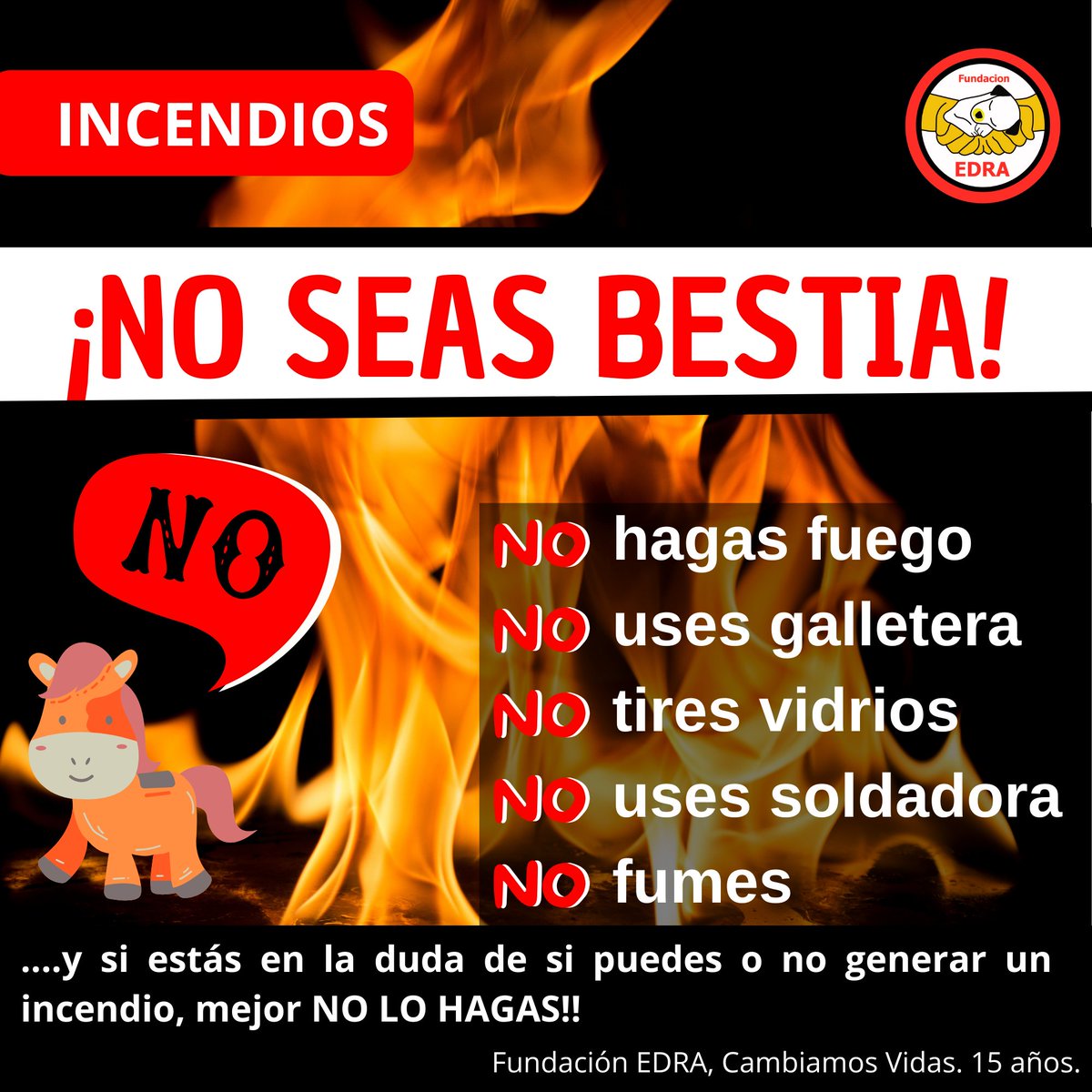 No seas Bestia!! Por un verano sin incendios forestales. #temperatura #chile #calor #verano #bomberos #fuego #emergencias #catastrofe