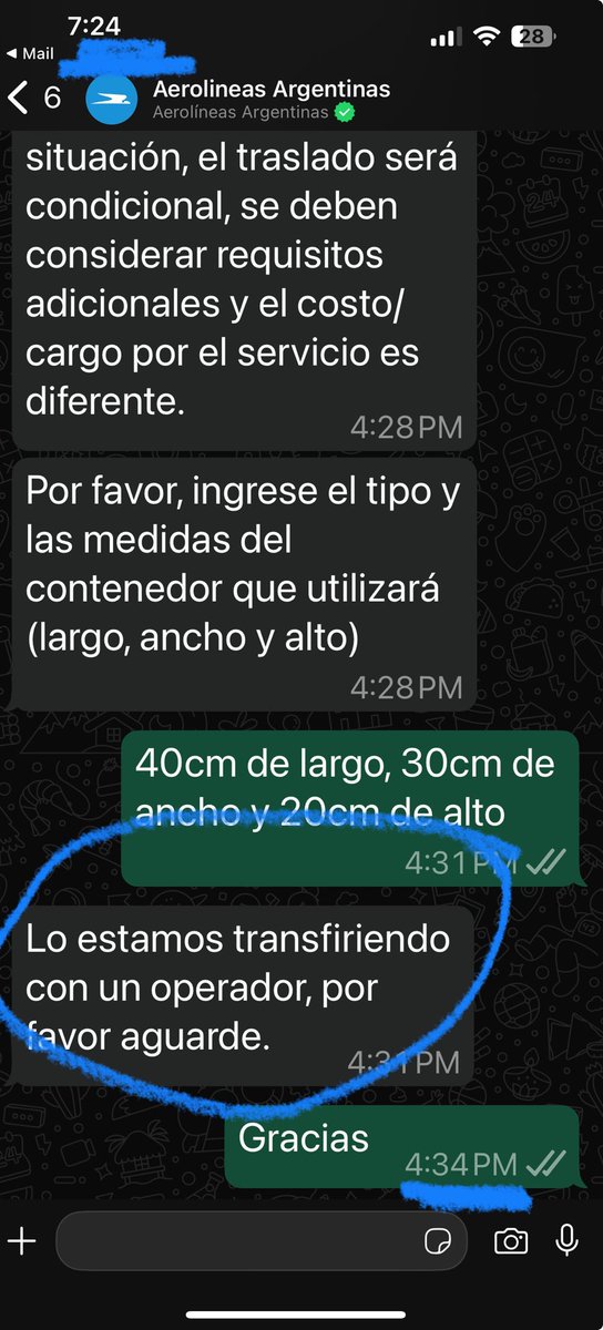 Ceci Mendonca tweet media