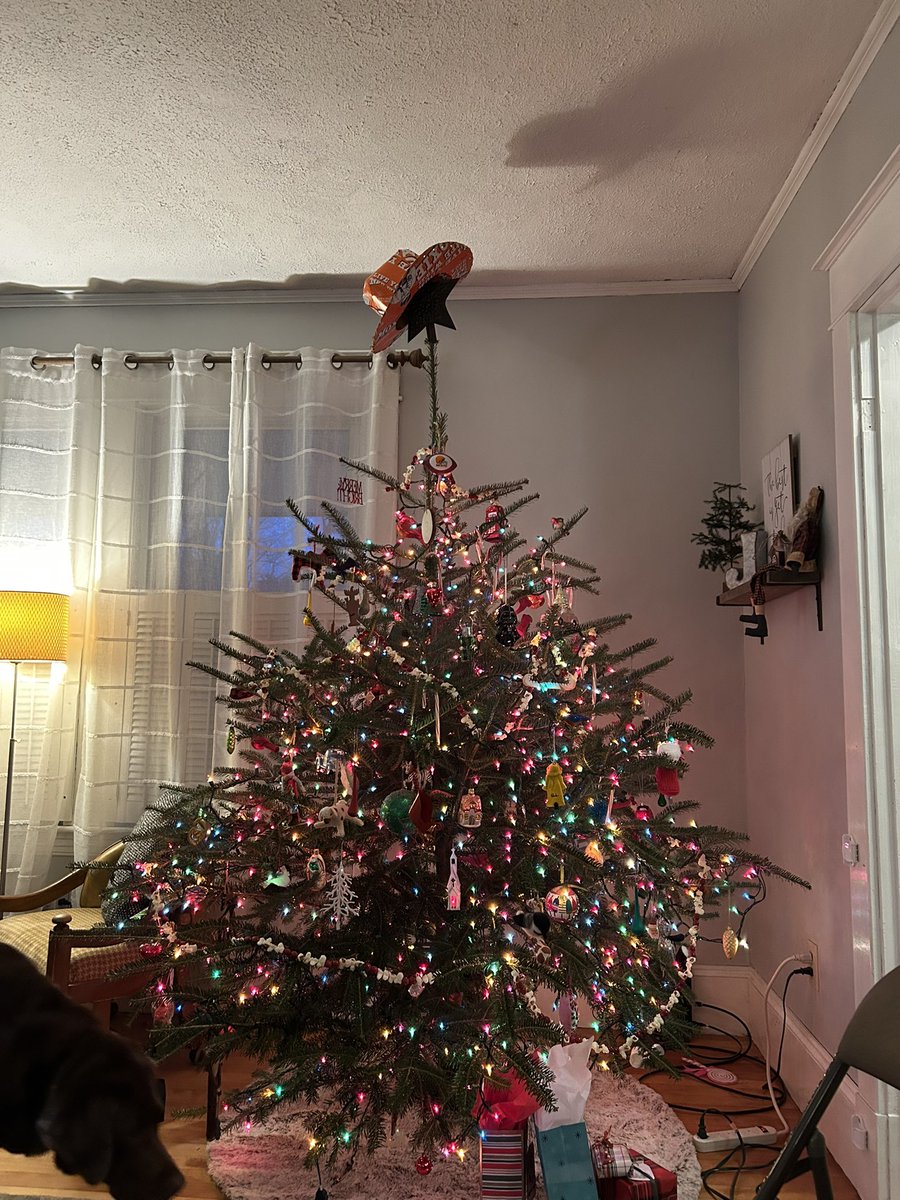 jonesjon1978's tweet photo. Our Christmas tree has moxie! #Moxie #Christmas https://t.co/C43iEDyqGg
