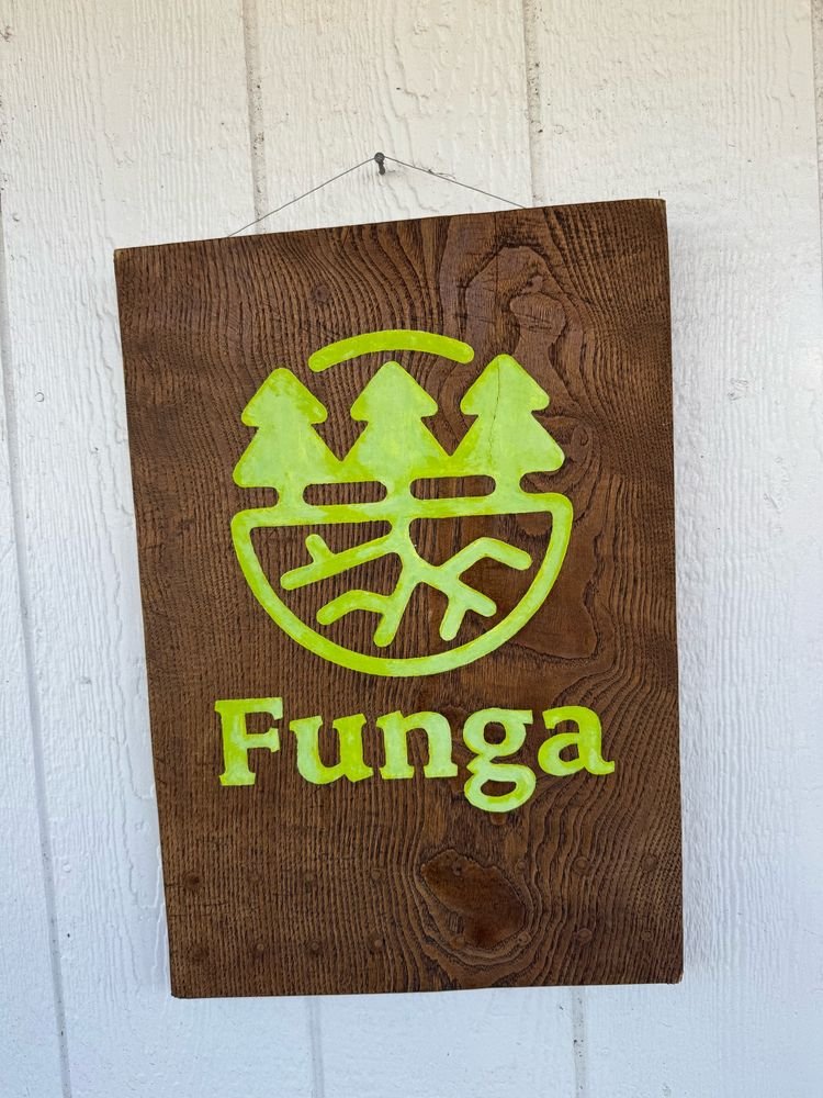 Great visit to <a href="/FungaPbc/">Funga</a> 🍄in Austin TX

Thanks <a href="/colinaverill/">Colin Averill</a>  for the tour and the great conversations on fungi and the future of forestry!