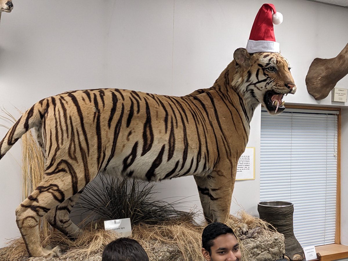 WSUBioSci's tweet photo. Great holiday party thrown by the graduate students of the department! Loving the photo booth, ping pong, and festive tiger!

Happy holiday's everyone! https://t.co/uMp1R4dLWL
