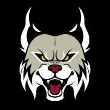 JacksonMayo80's tweet photo. After a great conversation with @CoachLavigne9 I am blessed to receive my first official offer from NHTI!  @NHTIathletics @WEHSPatriots #GoLynx @CoachJMHarris https://t.co/2YOdhL19fd