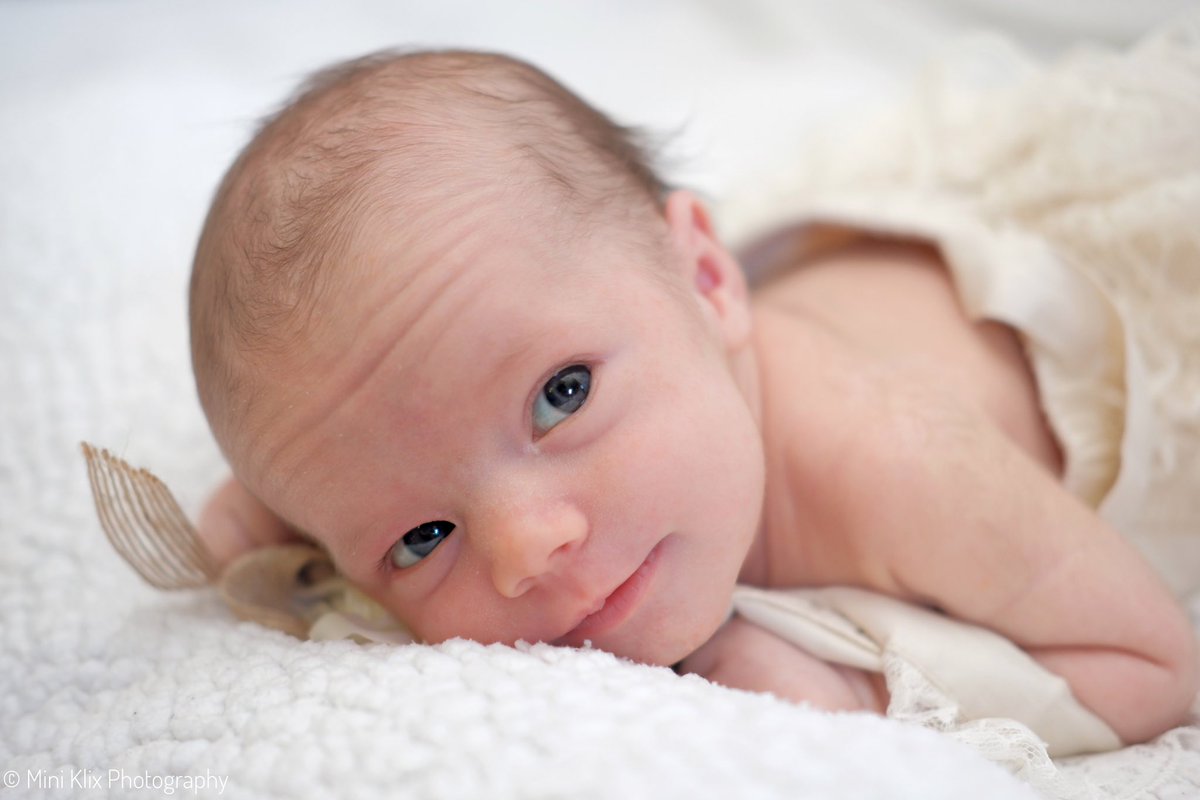 MiniKlix's tweet photo. 🌟 Tiny Toes, Big Dreams! 🌟 

Welcoming a little bundle of joy into the world is nothing short of magical. Capturing these first moments, from tiny fingers to sleepy yawns, is a privilege we never take for granted. 🍼🌟
#NewbornPhotography #TinyDetails #CherishedMoments https://t.co/TB7QKudmAB