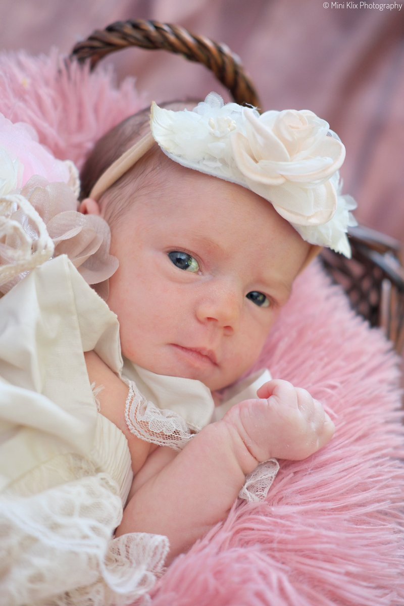 MiniKlix's tweet photo. 🌟 Tiny Toes, Big Dreams! 🌟 

Welcoming a little bundle of joy into the world is nothing short of magical. Capturing these first moments, from tiny fingers to sleepy yawns, is a privilege we never take for granted. 🍼🌟
#NewbornPhotography #TinyDetails #CherishedMoments https://t.co/TB7QKudmAB