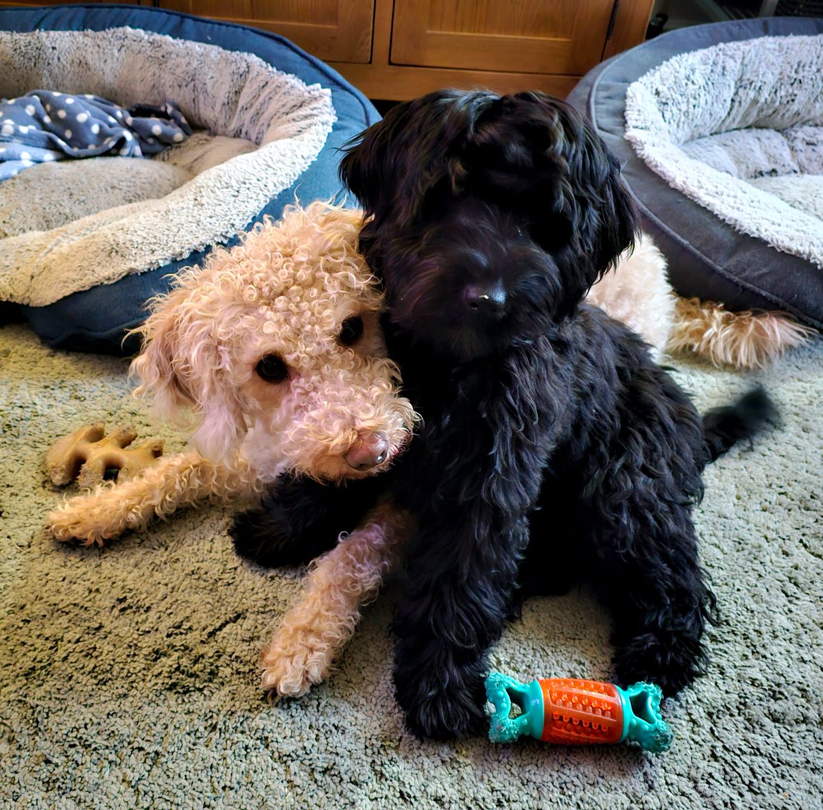 MyLittleWorldofBooks tweet media