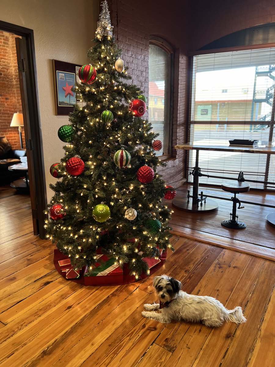 amnetinc's tweet image. Merry Christmas and Happy Holidays from us to you 🎄✨🎁⭐️ Ajax from Amnet only needed 2 treats to pose for this picture 😂 #HappyHolidays #TheITDepartmentForYourBusiness