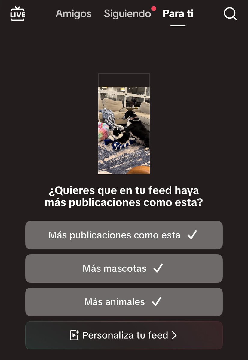 voyamiar's tweet photo. Yo, personalizando mi feed. https://t.co/VdJF69upHm