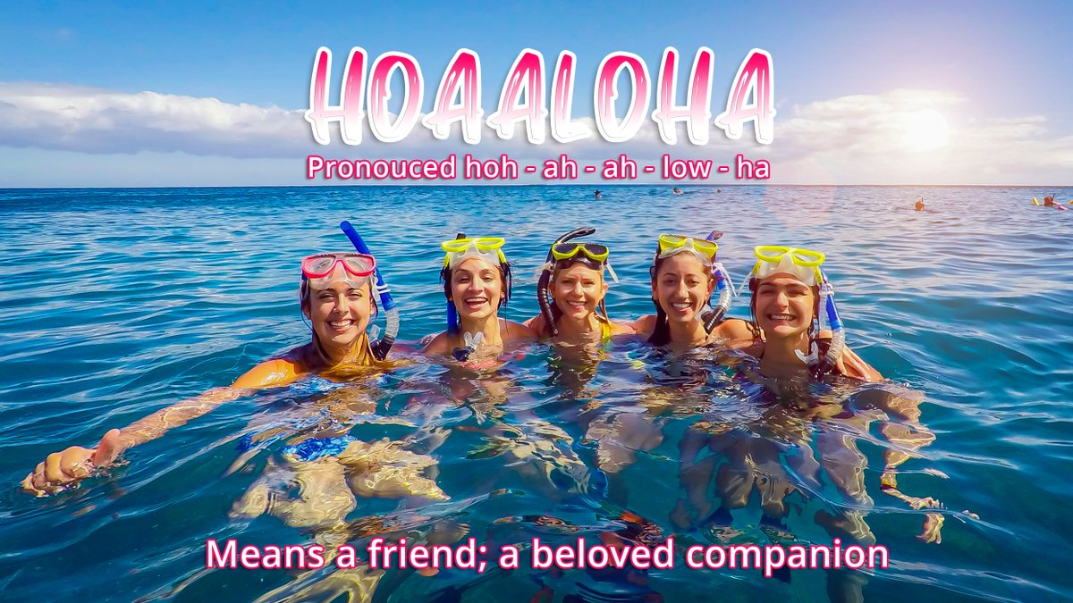 prideofmaui's tweet photo. Let's learn Hawaiian! Tag a Hoaaloha (friend) you'd want to visit Maui with in 2025! <3 #maui #prideofmaui #mauihi #mauihawaii #exploremaui https://t.co/4Y7928rg42