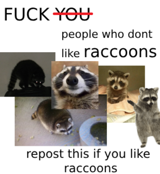 ShouldHaveRacc's tweet image. 