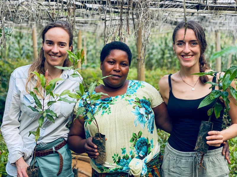 DianaLaKind's tweet photo. 10 years ago, I lost my dad—a moment that changed many things. It led me to rethink leadership, explore mindfulness, and later, address climate change.
In 2020, we launched #ImpactHero to gift trees & fight climate change. Now, we’re 'tree-llionaires' making an impact. 🌍 https://t.co/SuJBv7mtK9