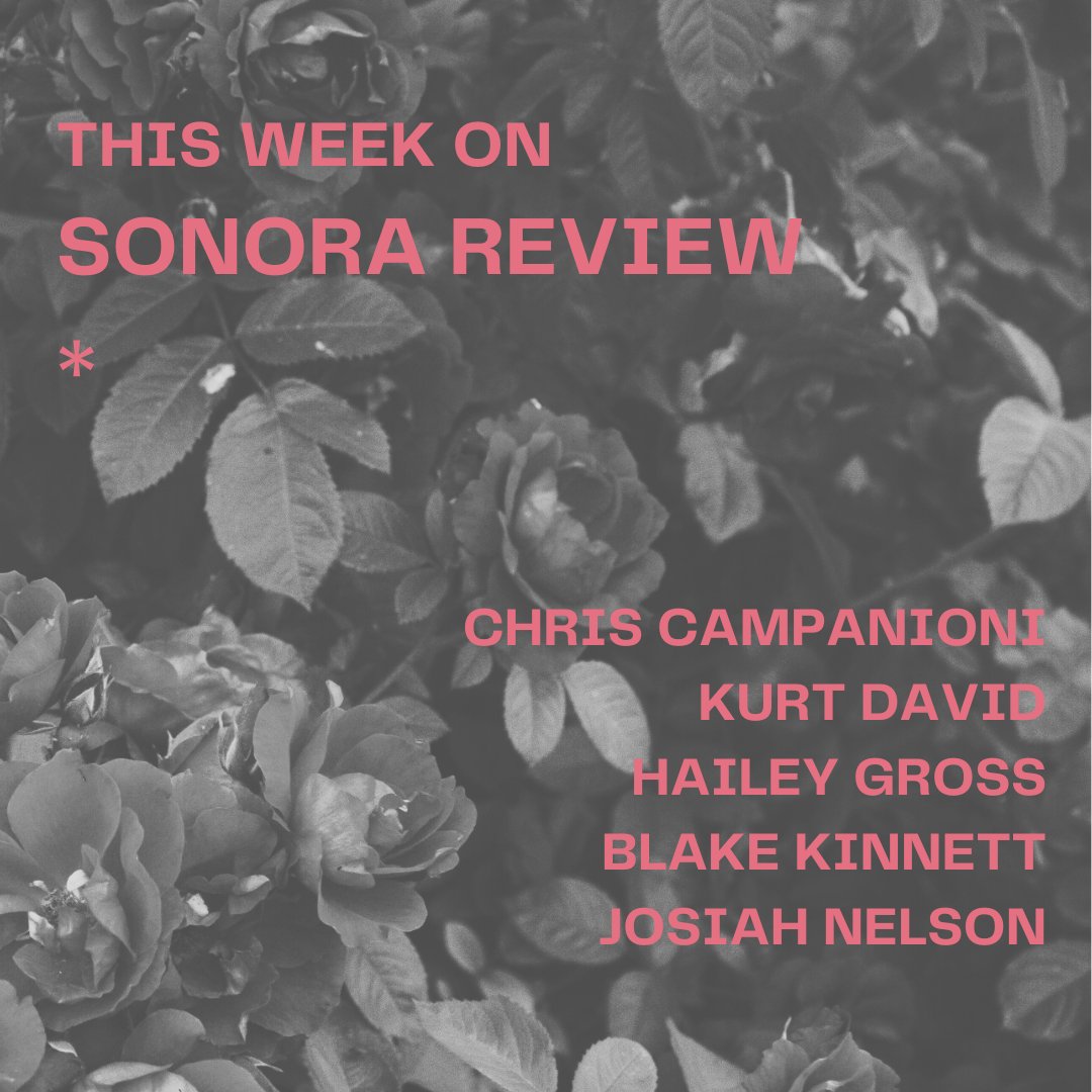 Sonora Review tweet media