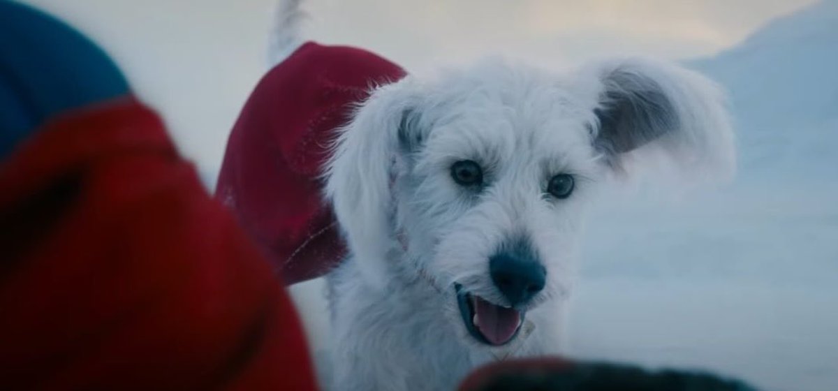 I already love #Krypto