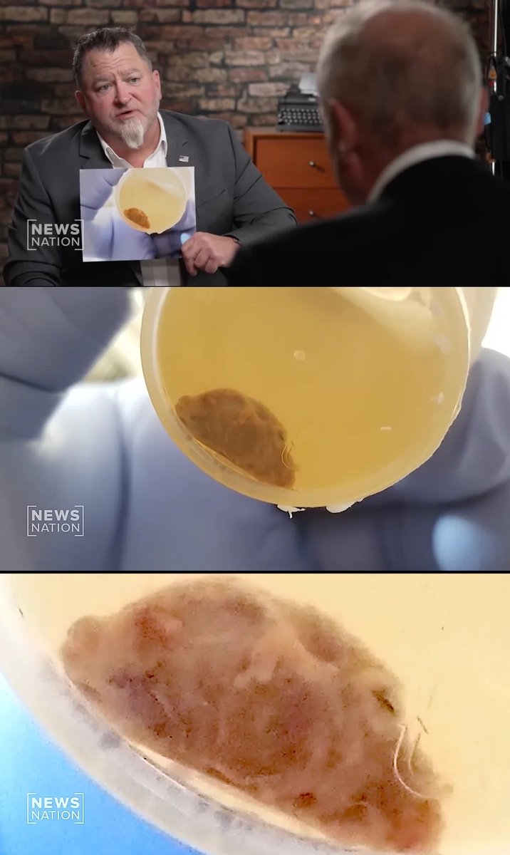 Daily UFO tweet media