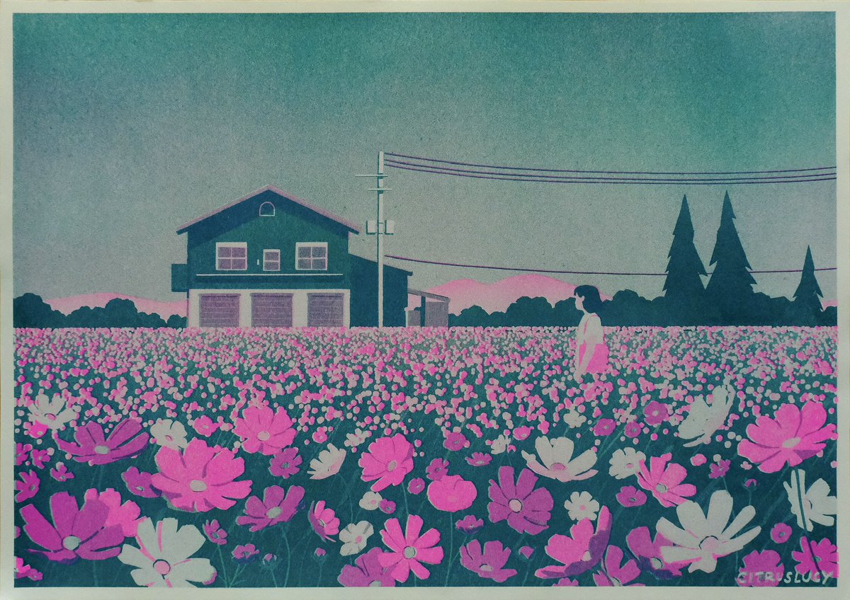 cosmos field 🌸🌼 an A4 size two colour riso print I made during my artist residency in japan
