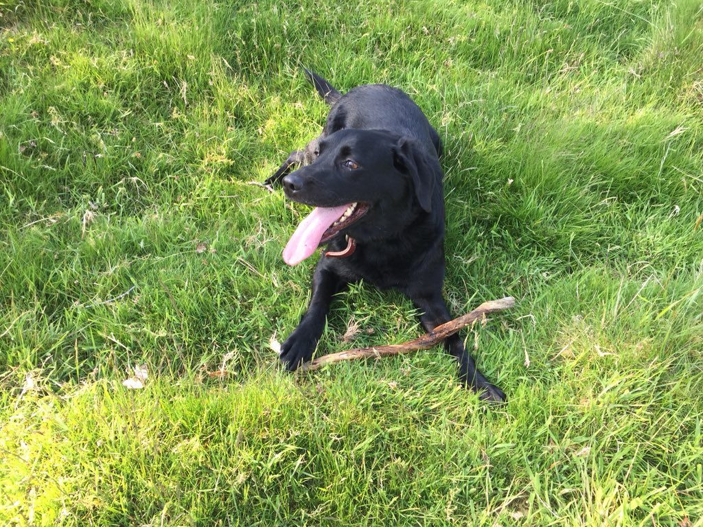 Sarah Parry tweet media