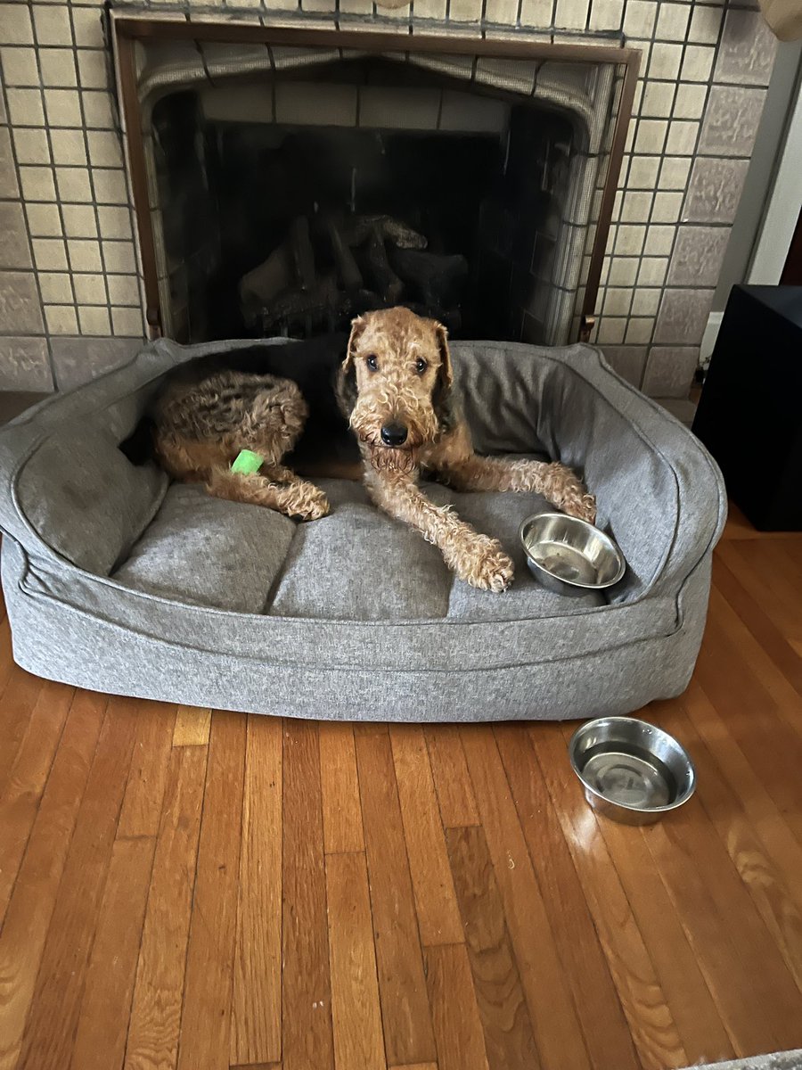 Allison McKenzie tweet media