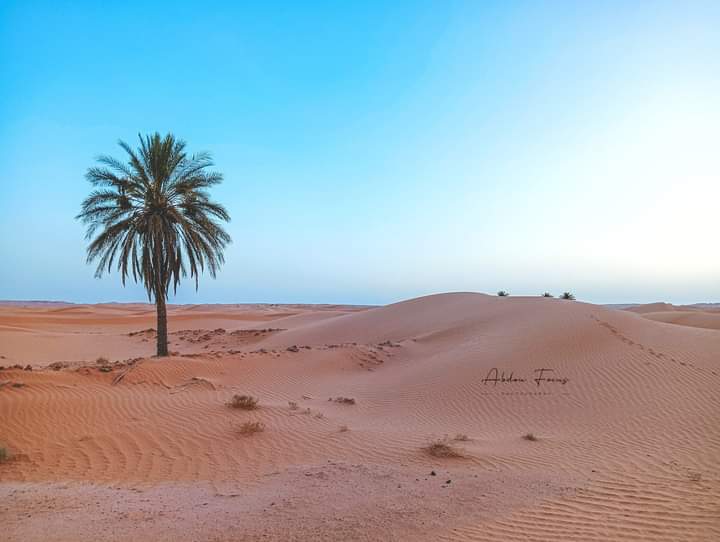 minochere's tweet photo. Les portes du désert ....#Ouargla ..#Algérie
#village. #bour commune #N'goussa
Chaque fois que j'y arrive, je suis joyeusement bouleversée.
#Algeria
#أنا_مع_بلادي https://t.co/BcHZjNB12W