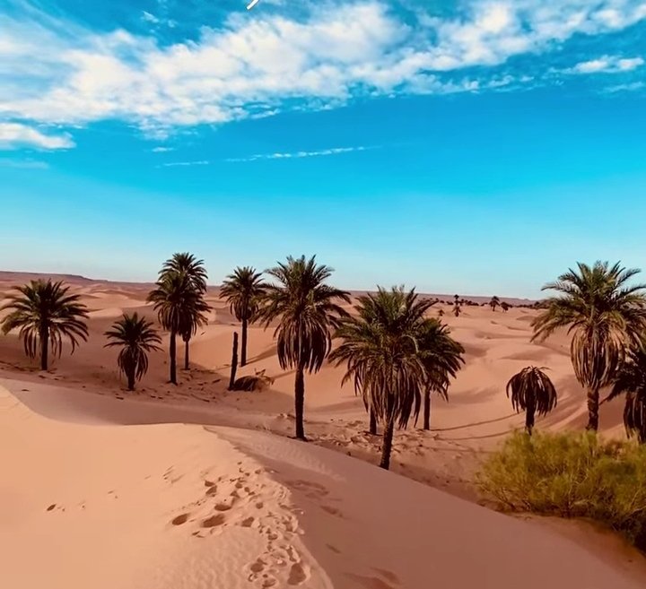 minochere's tweet photo. Les portes du désert ....#Ouargla ..#Algérie
#village. #bour commune #N'goussa
Chaque fois que j'y arrive, je suis joyeusement bouleversée.
#Algeria
#أنا_مع_بلادي https://t.co/BcHZjNB12W
