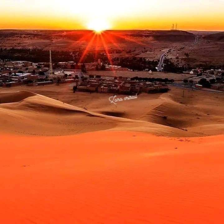 minochere's tweet photo. Les portes du désert ....#Ouargla ..#Algérie
#village. #bour commune #N'goussa
Chaque fois que j'y arrive, je suis joyeusement bouleversée.
#Algeria
#أنا_مع_بلادي https://t.co/BcHZjNB12W