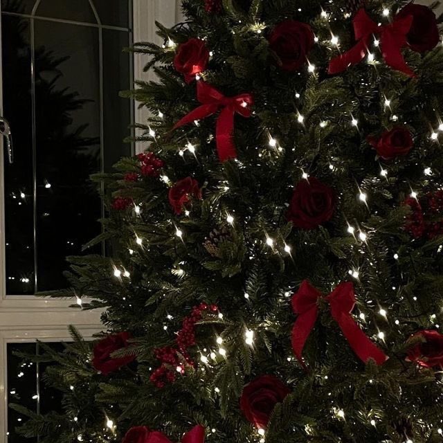girluponastar's tweet photo. 6 days until Christmas!🎄🤍 https://t.co/WA4Glj7dgJ